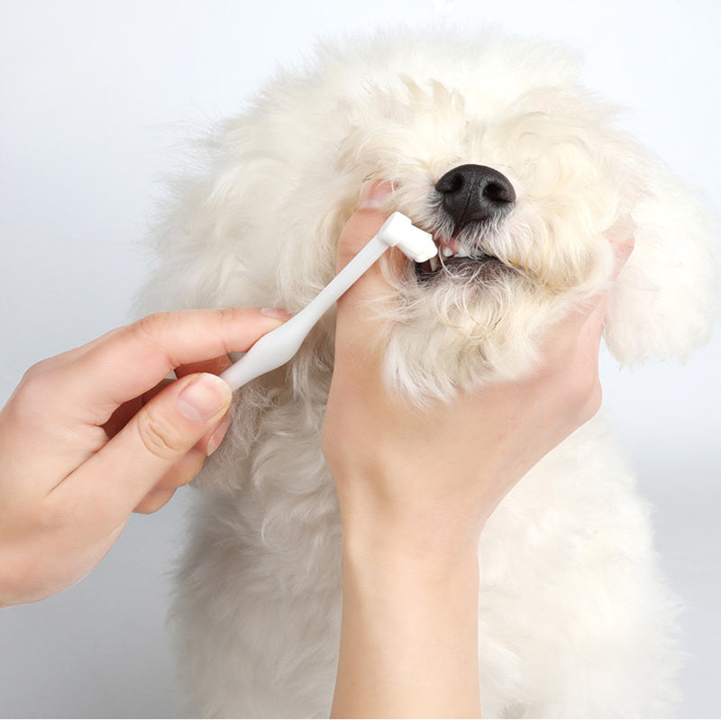 Oral Hygiene Kit for Cats and Dogs – 3 Piece Set with Dual-Ended Toothbrush, Finger Brush, and Poultry Flavour Toothpaste