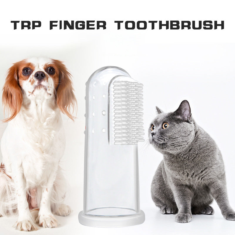 Oral Hygiene Kit for Cats and Dogs – 3 Piece Set with Dual-Ended Toothbrush, Finger Brush, and Poultry Flavour Toothpaste